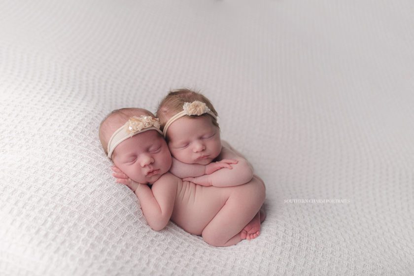 knoxville twins newborn photographys tudio
