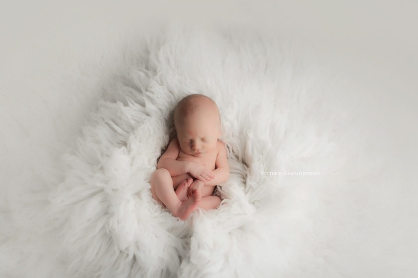 best newborn photographer tennessee