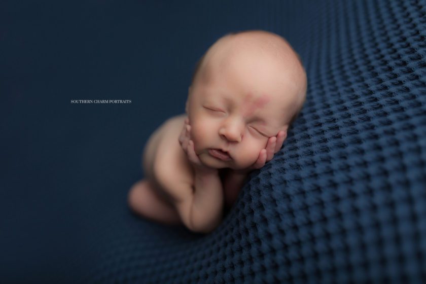 best newborn portraits tn
