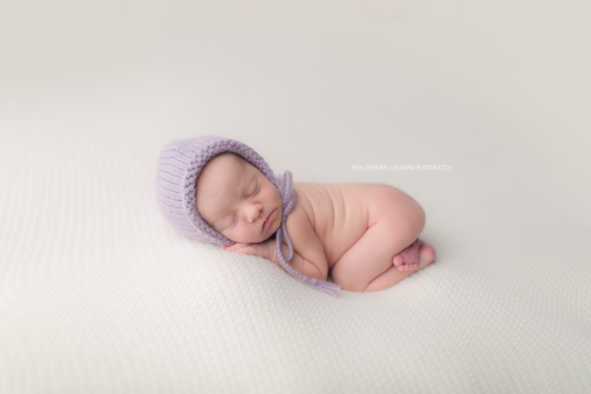 newborn posed portraits knoxville