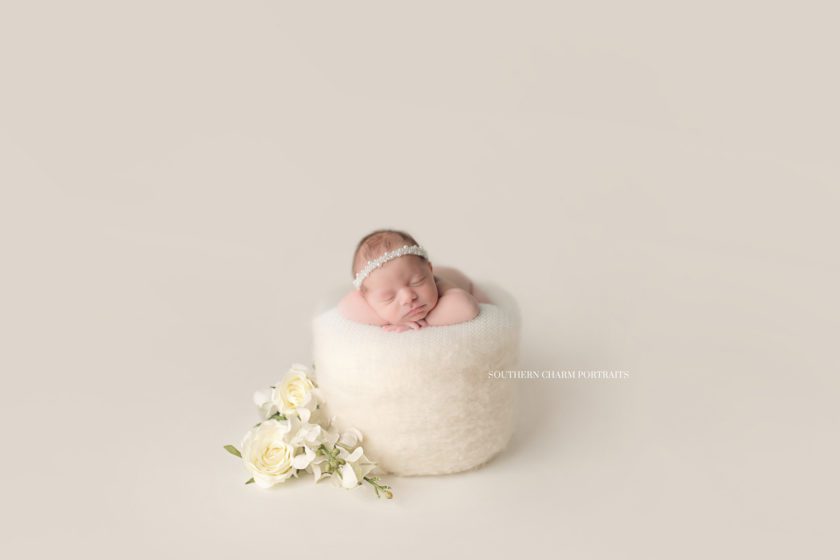 top baby photographer knoxville