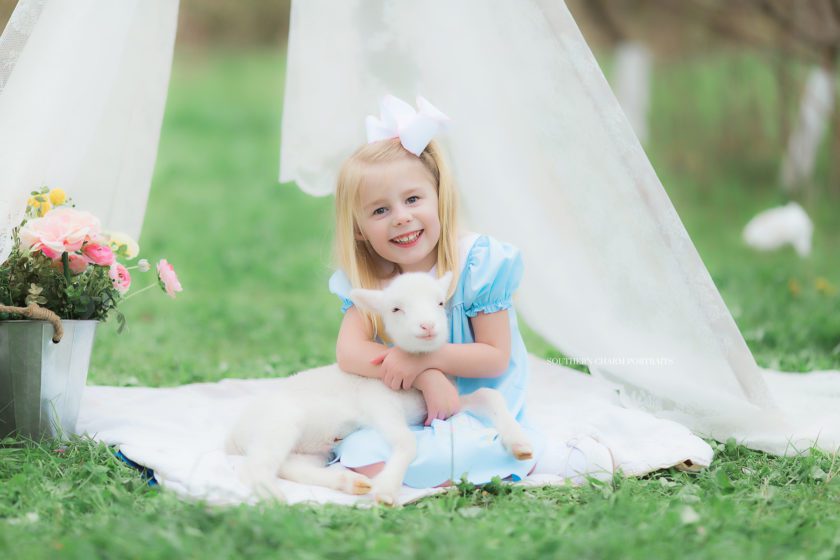 perfect spring portraits knoxville tn