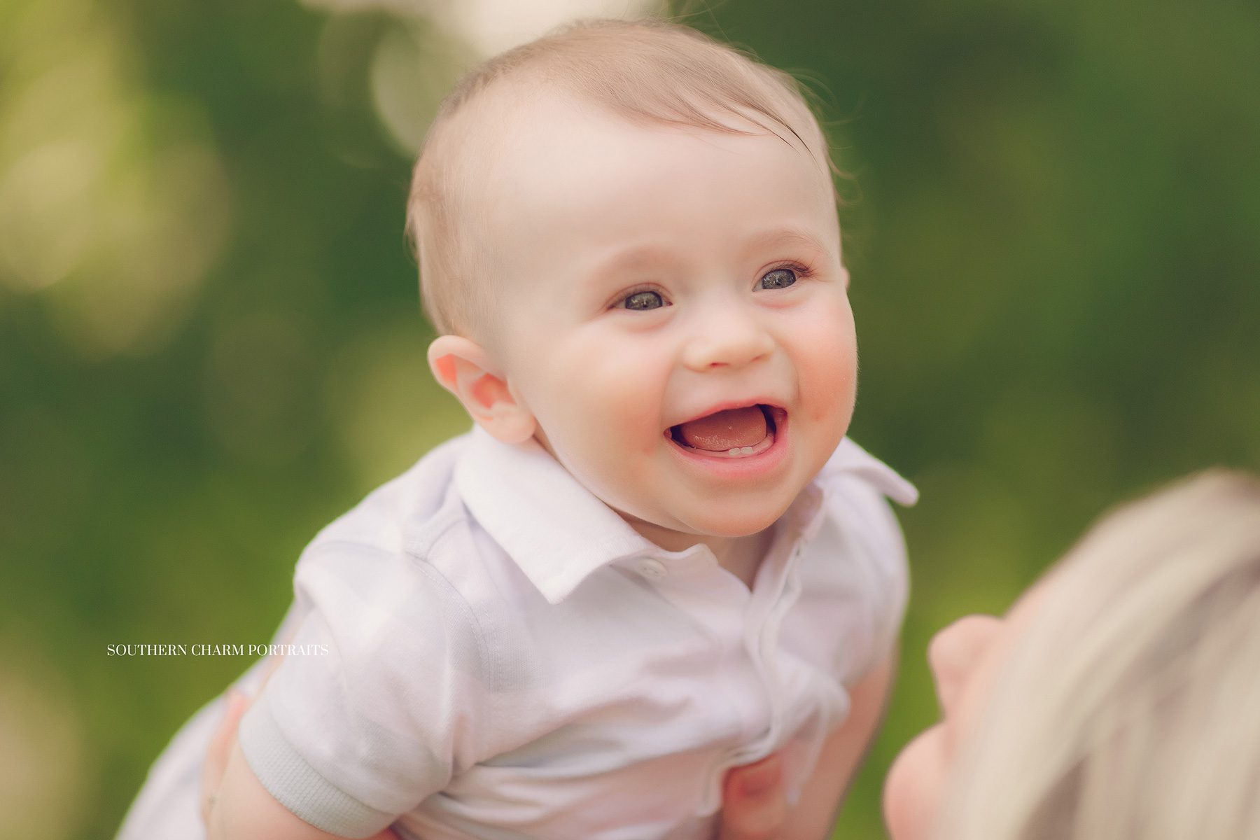 knoxville tn best baby photographer