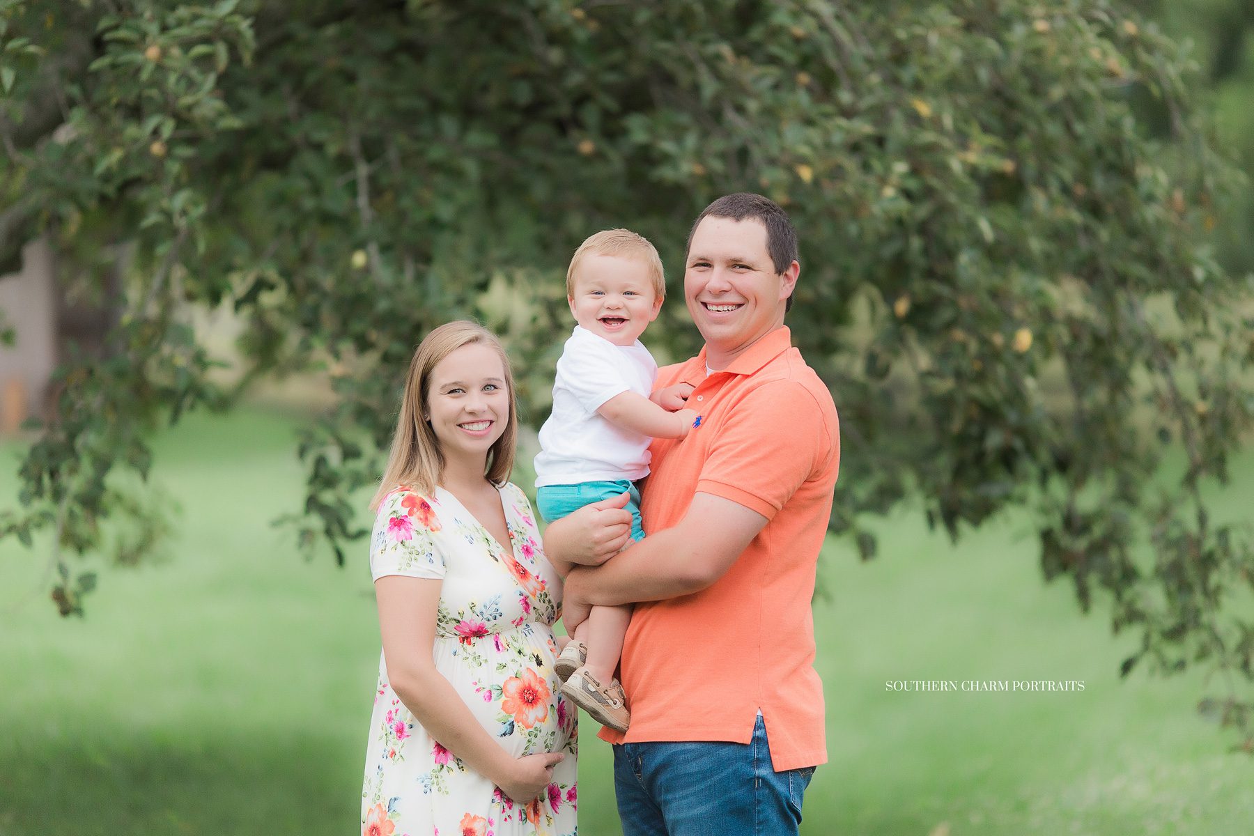 knoxville maternity portraiture