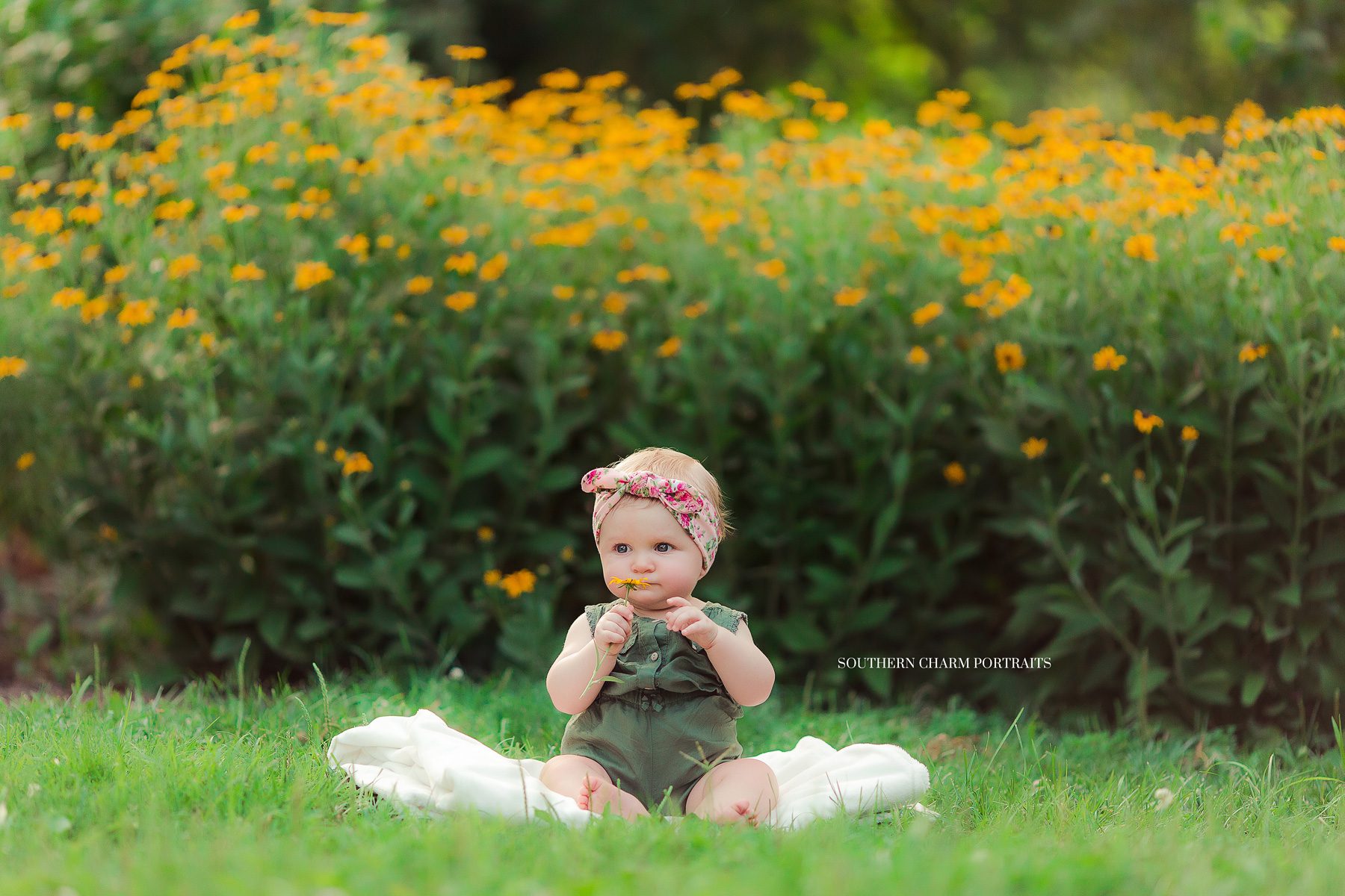knoxville baby's 1st year portraits