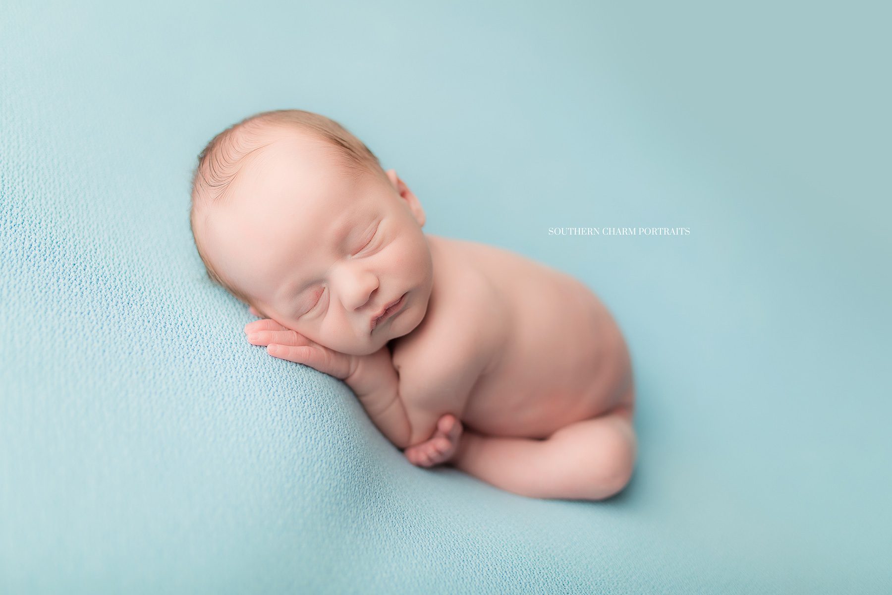 knoxville tn newborn portraits