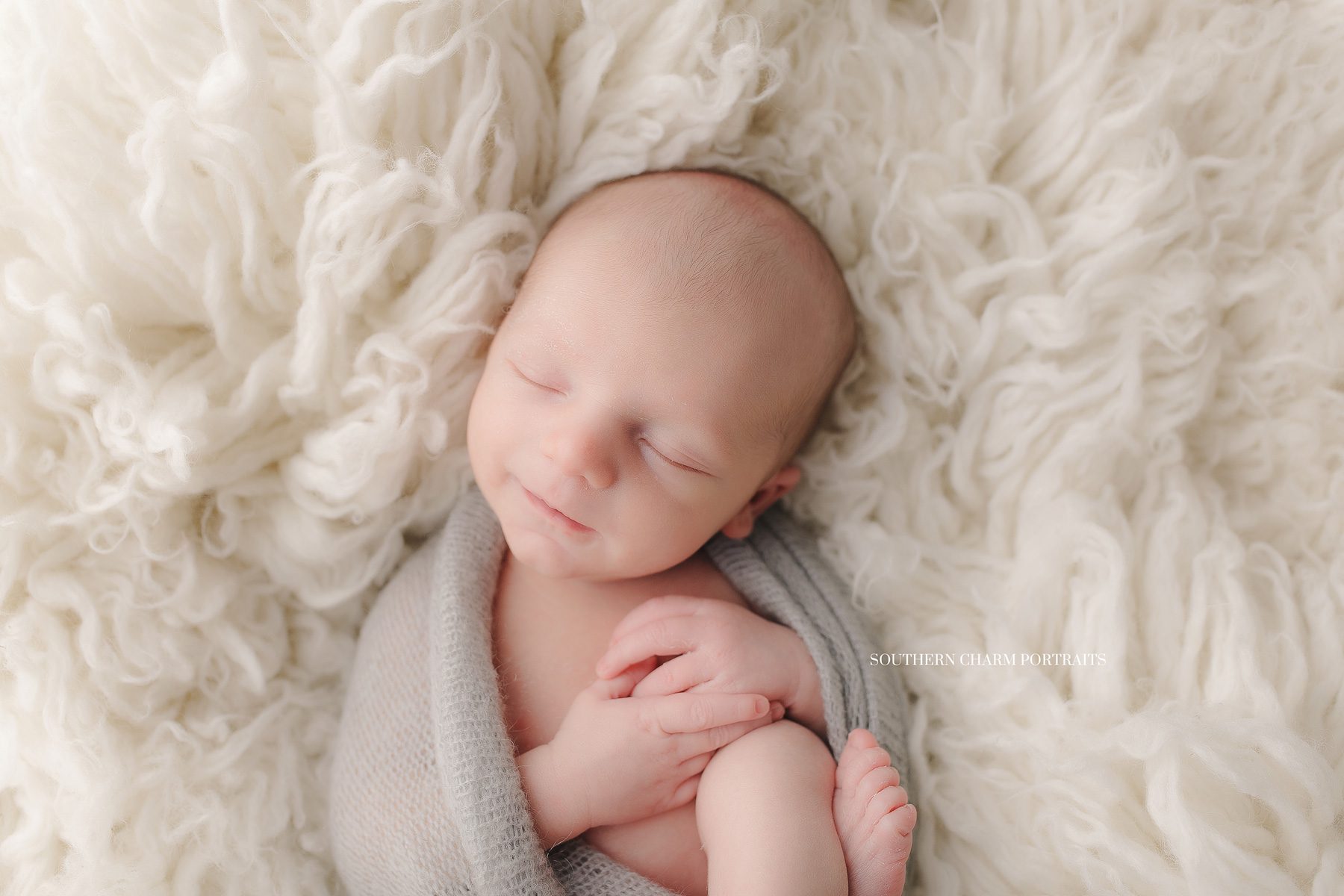 best newborn portraits knoxville