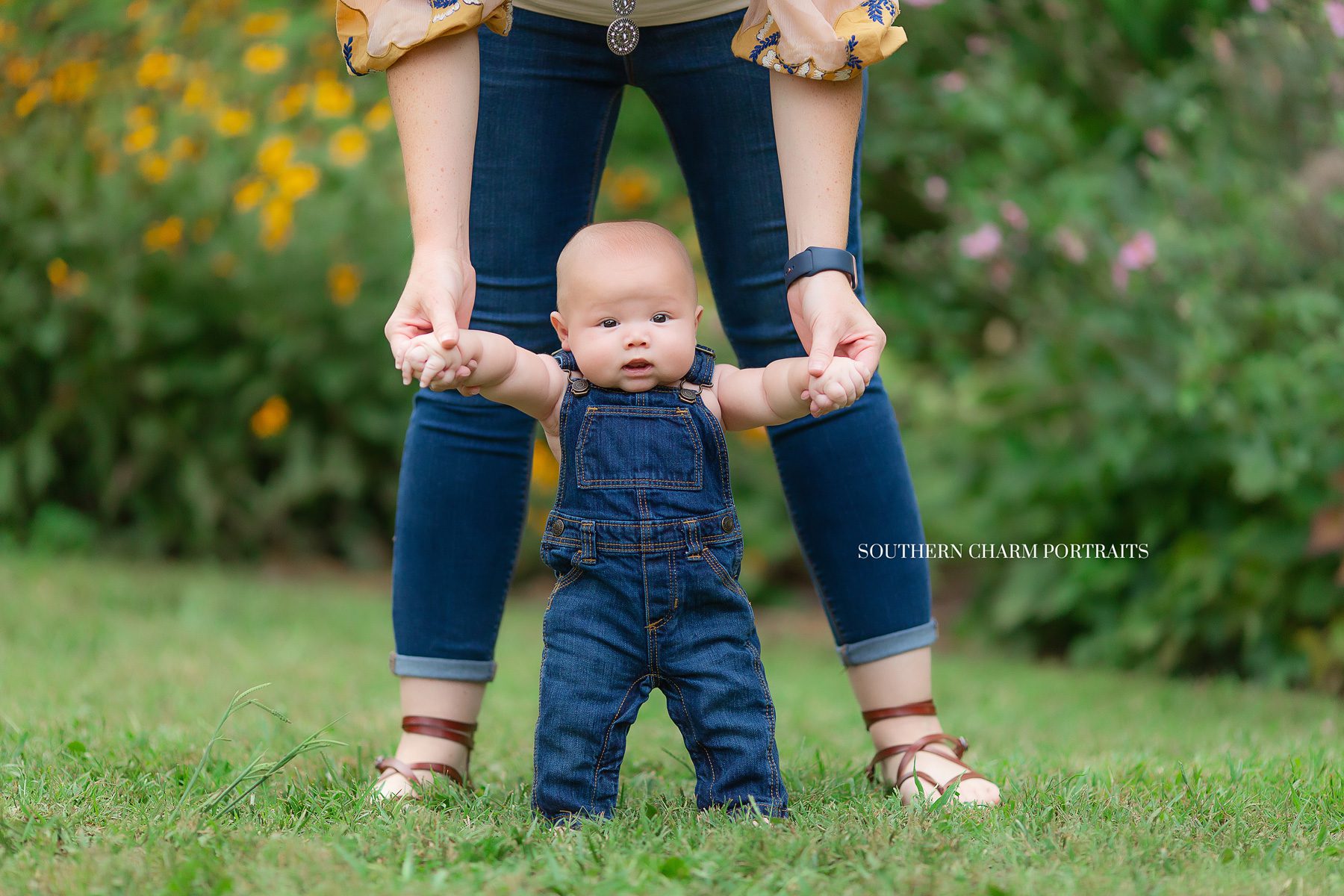 knoxville tn best baby photographer