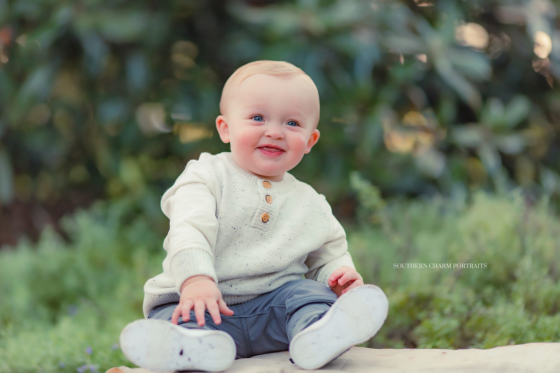 knoxville best baby portraits