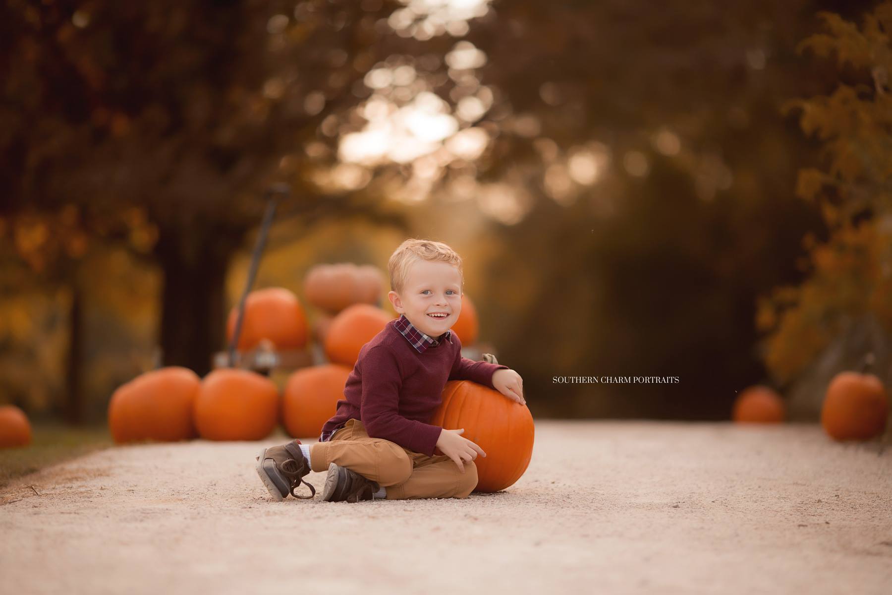 pumpkin mini sessions knoxville