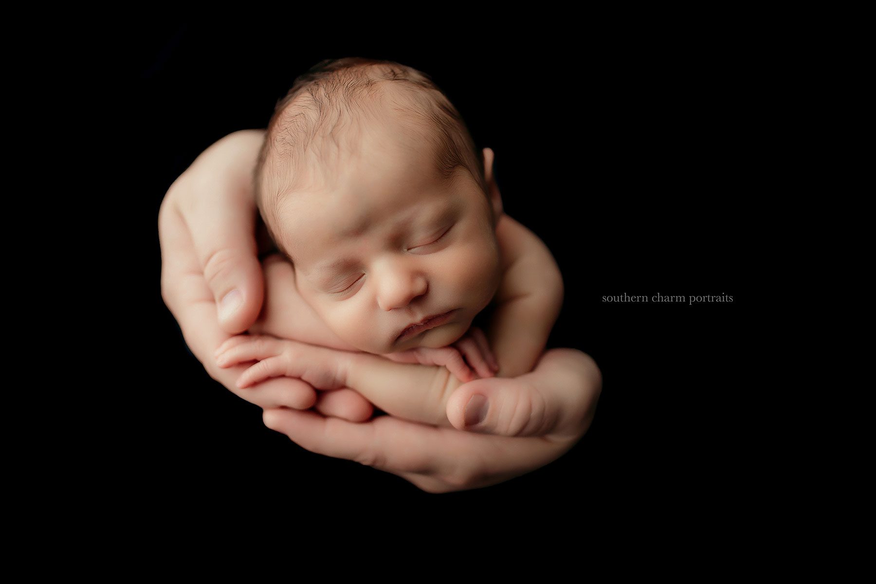 knoxville's best newborn photography