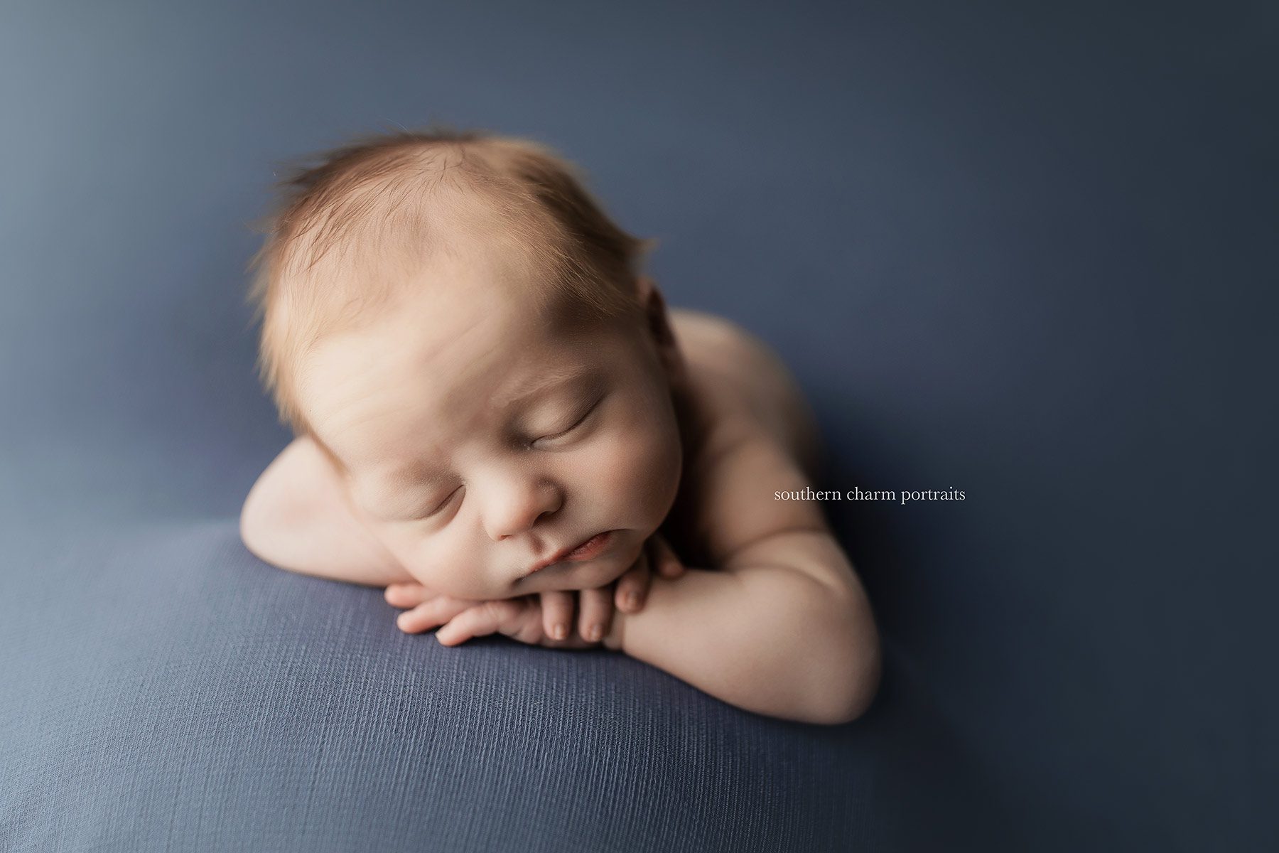 knoxville baby studio