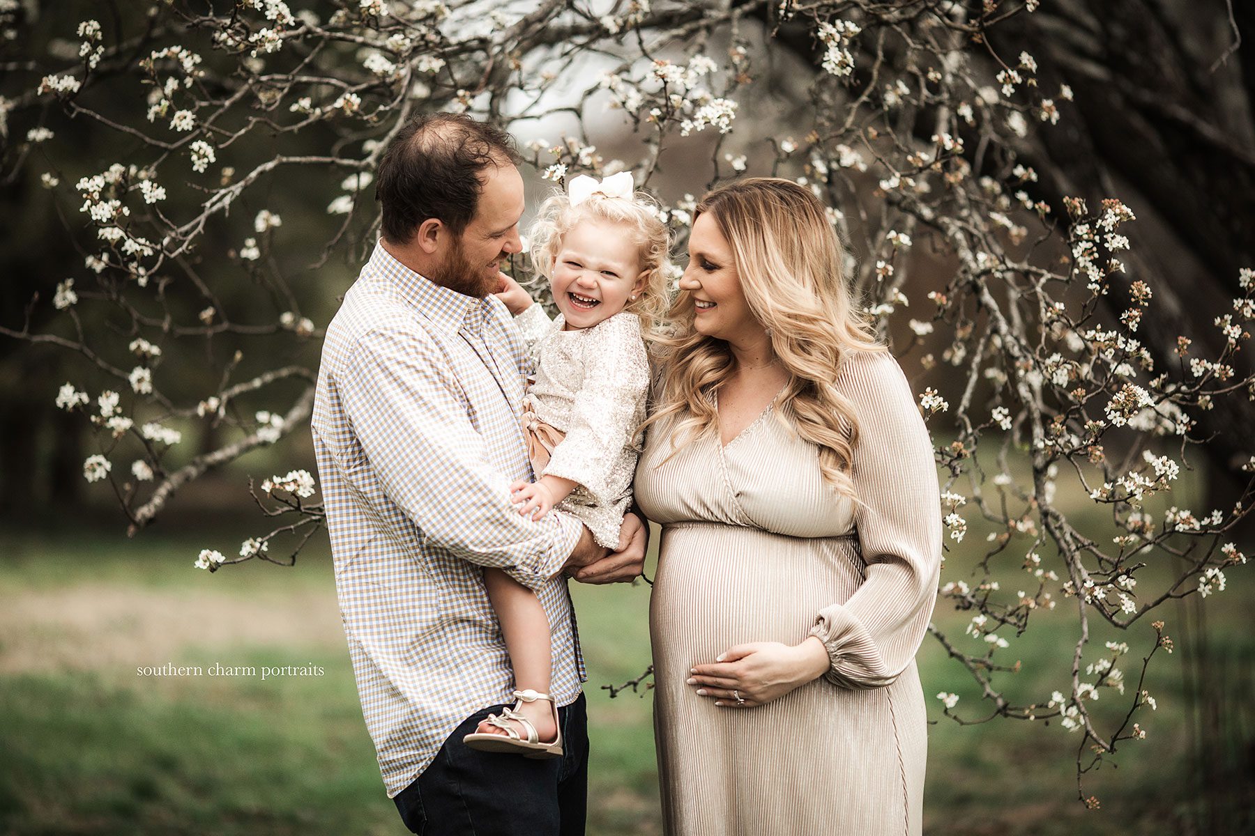 best maternity photography knoxville tn