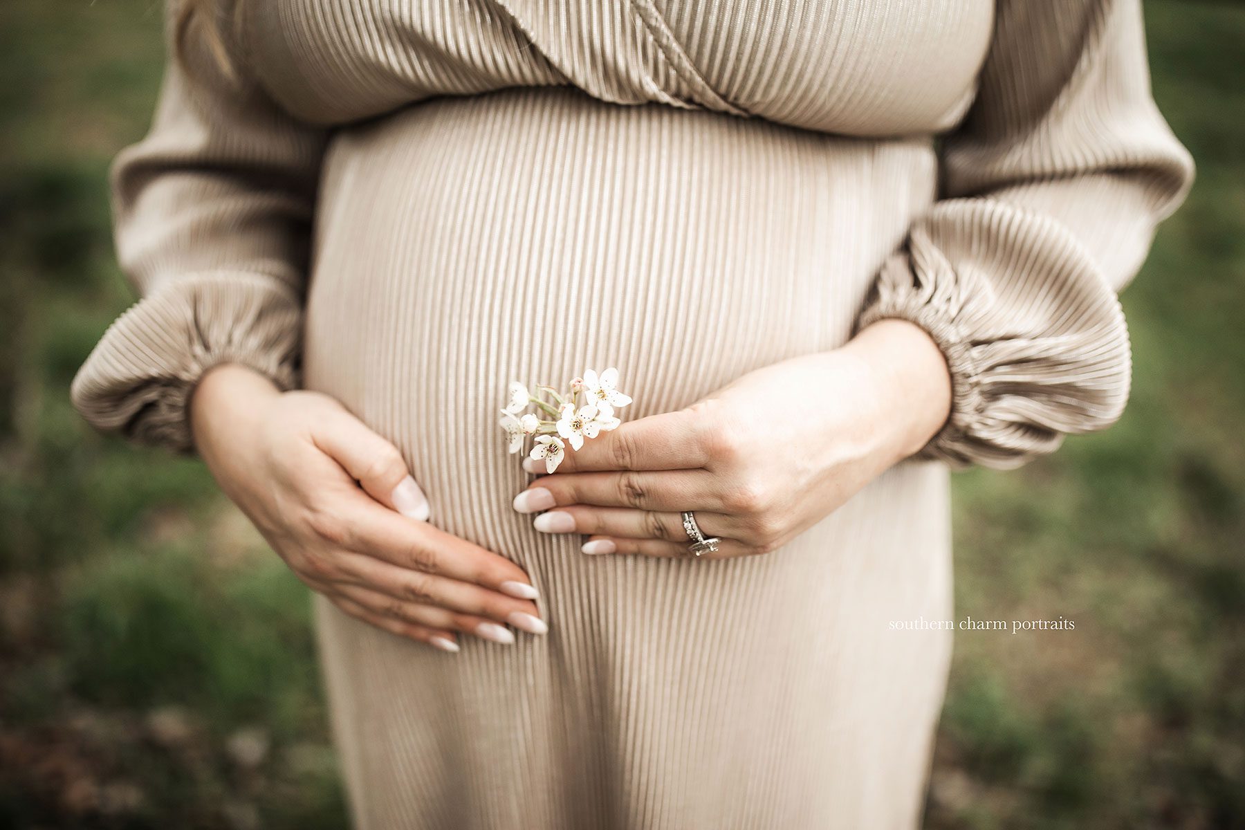 knoxville tn maternity photographer