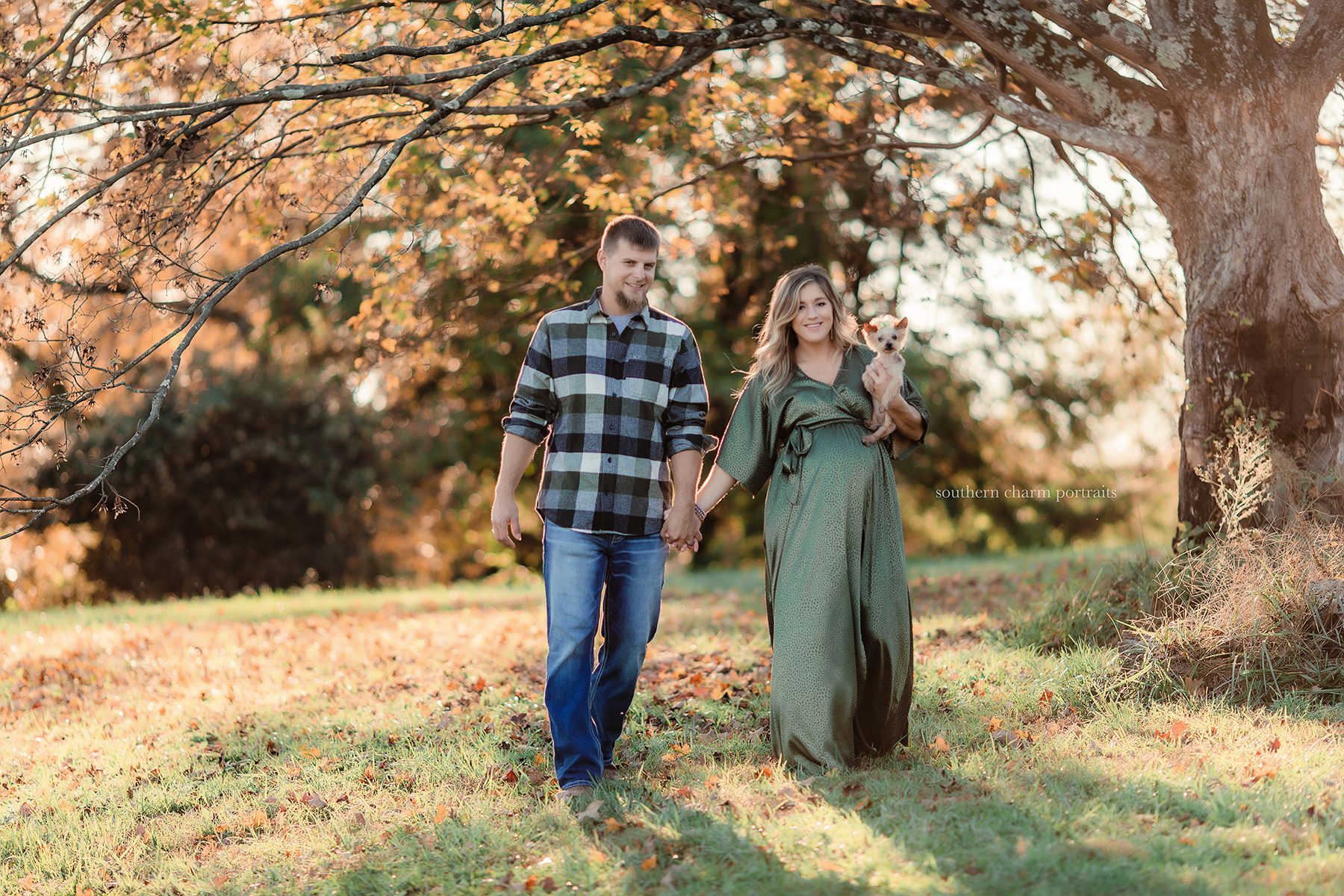 maternity family portraits knoxville