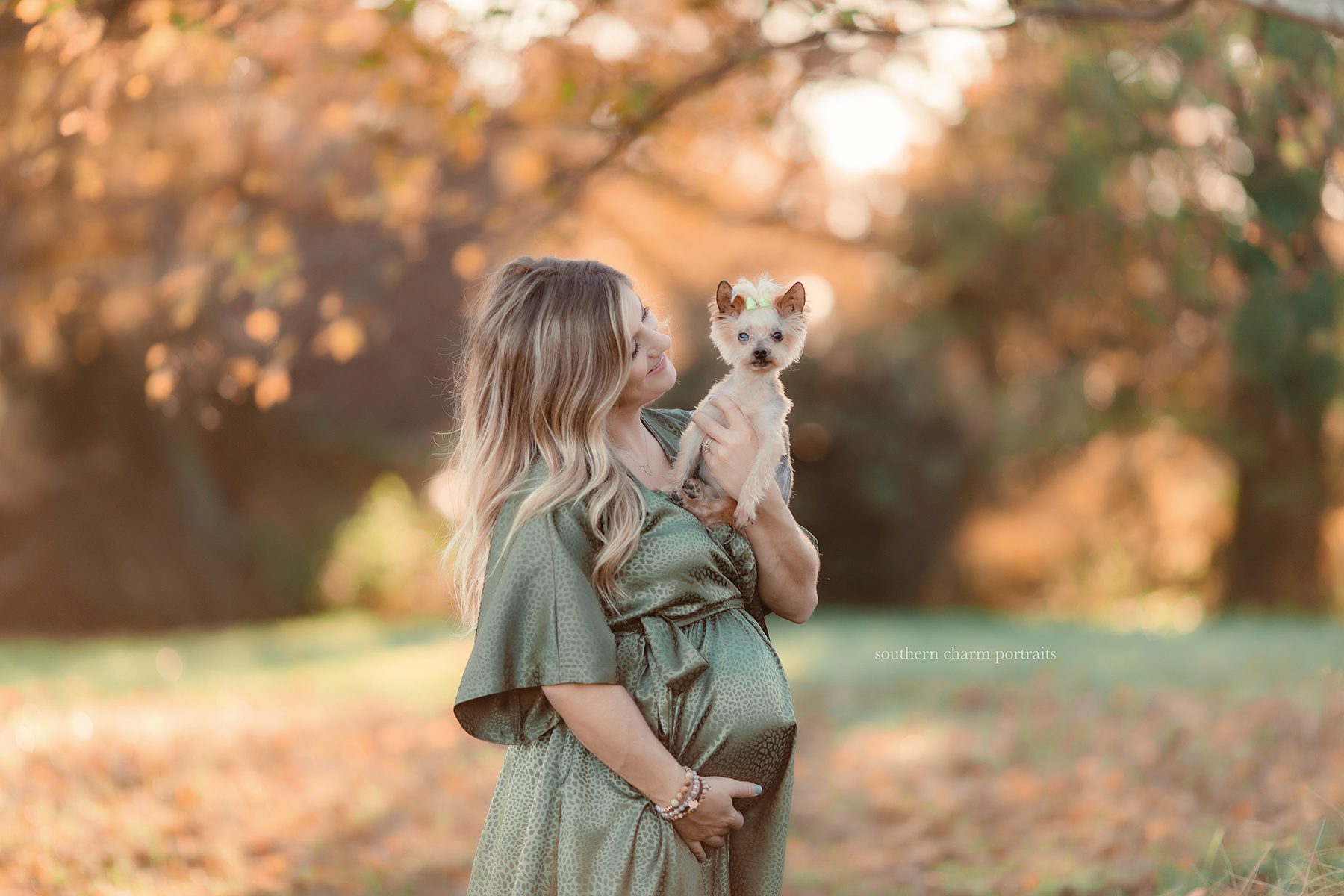 knoxville tn maternity pictures