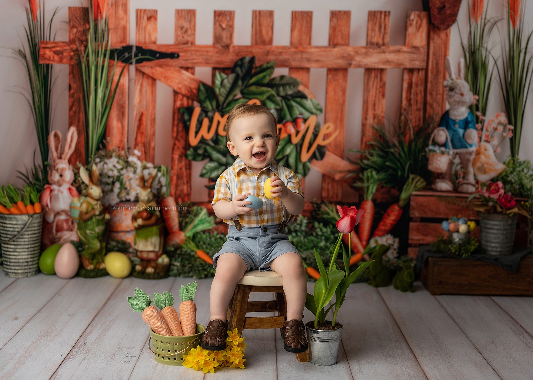 best baby photographer knoxville