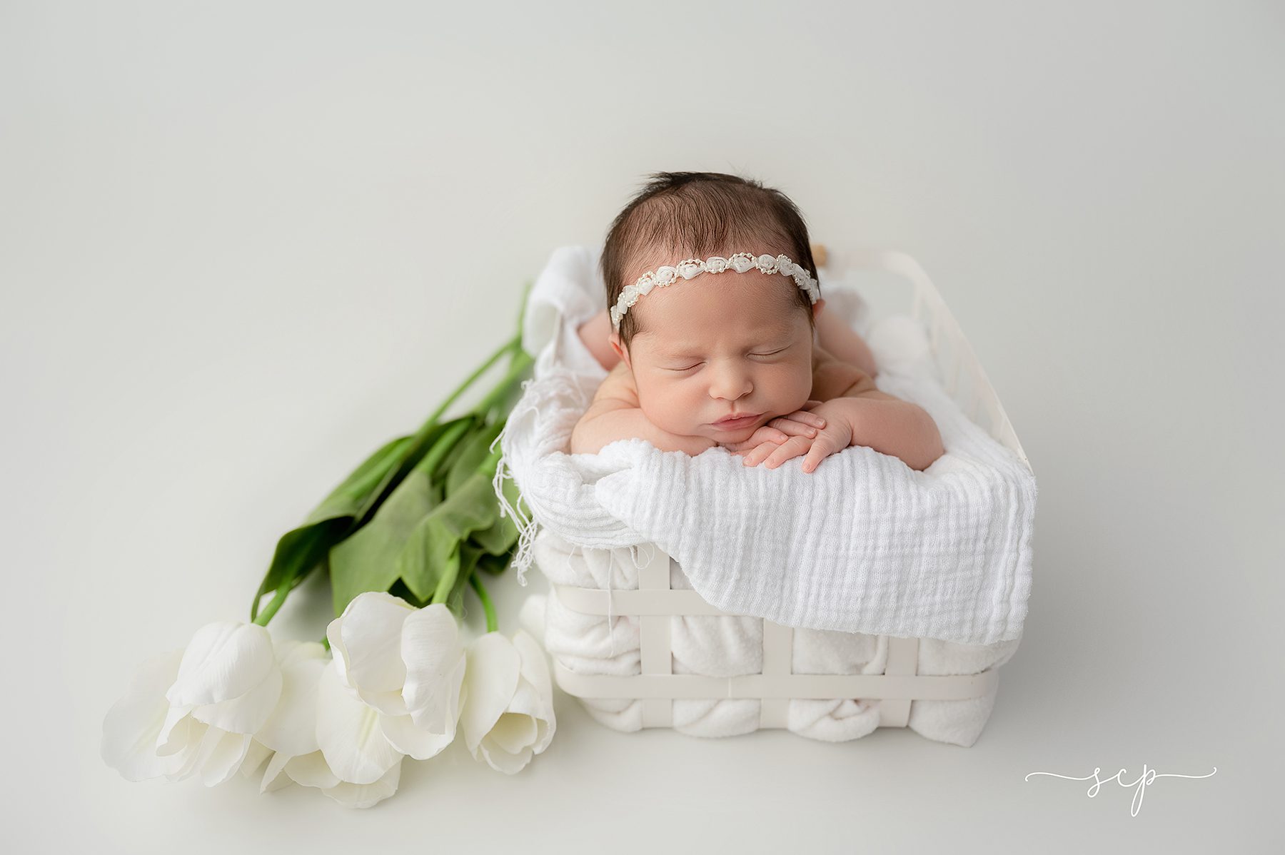 knoxville tn baby portraits