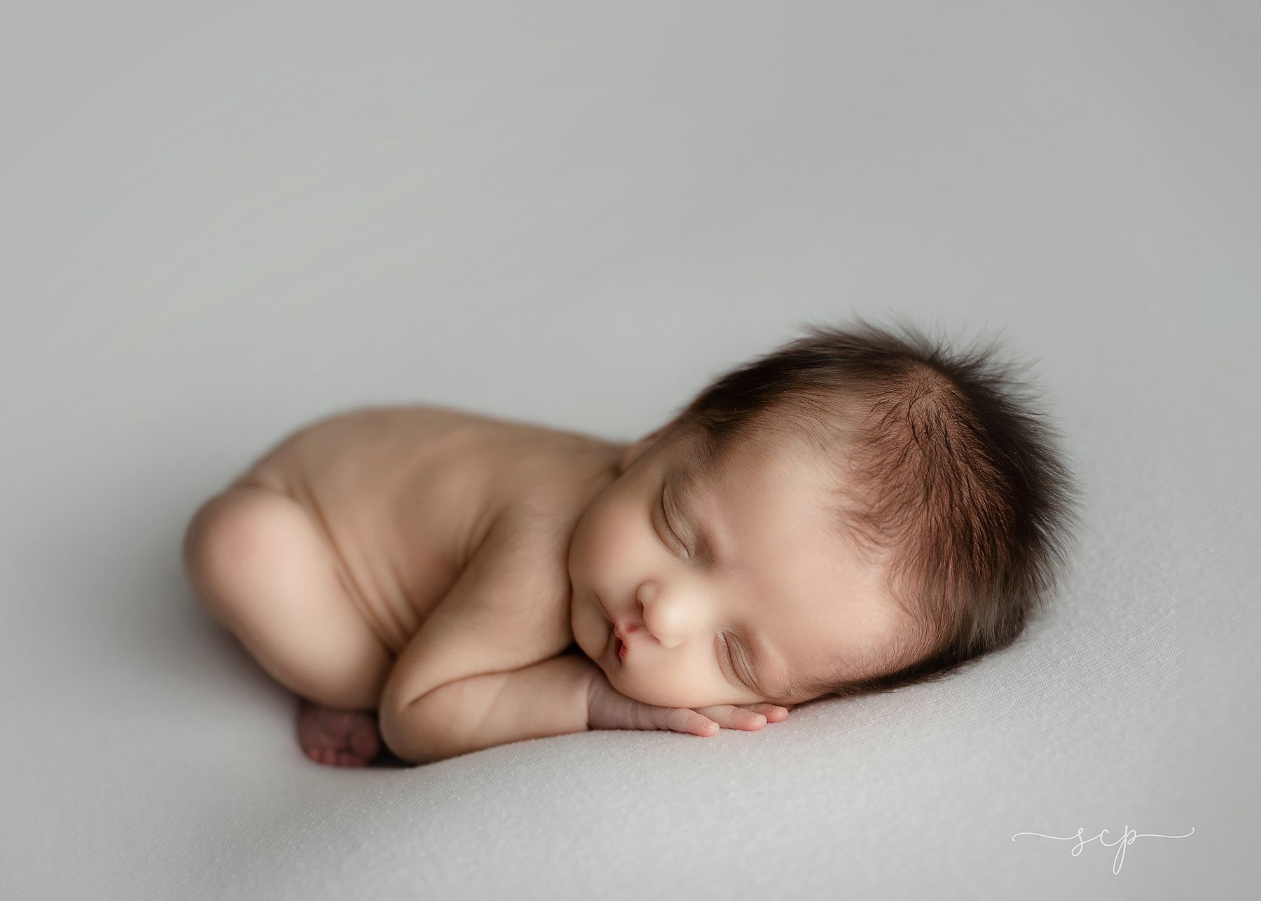 best newborn portraits knoxville tn