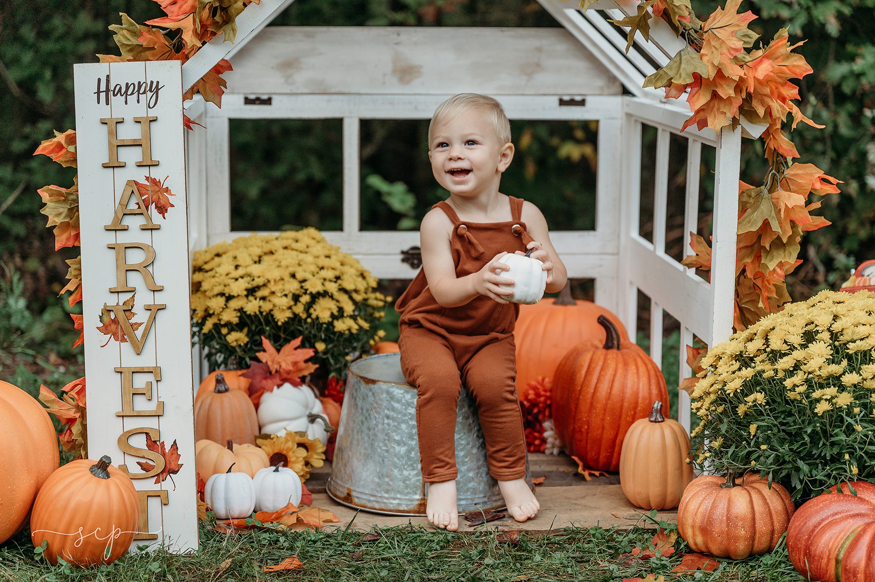 knoxville toddler photographer