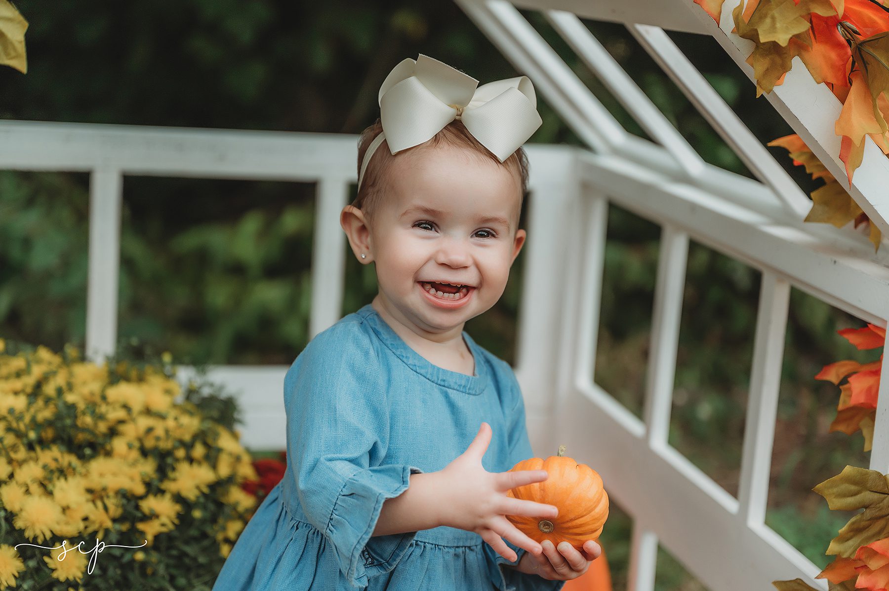 knoxville pumpkin mini sessions in fall