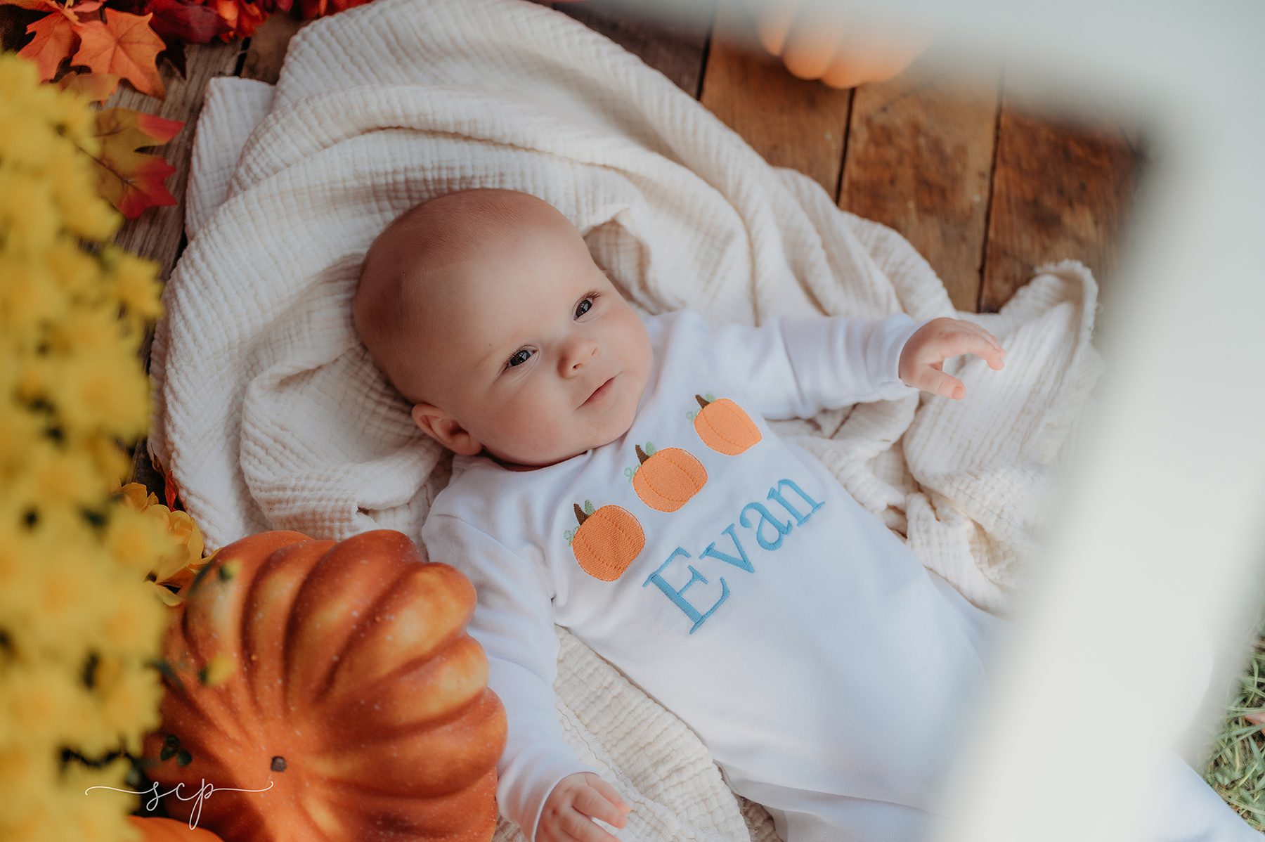 baby pumpkin session knoxville