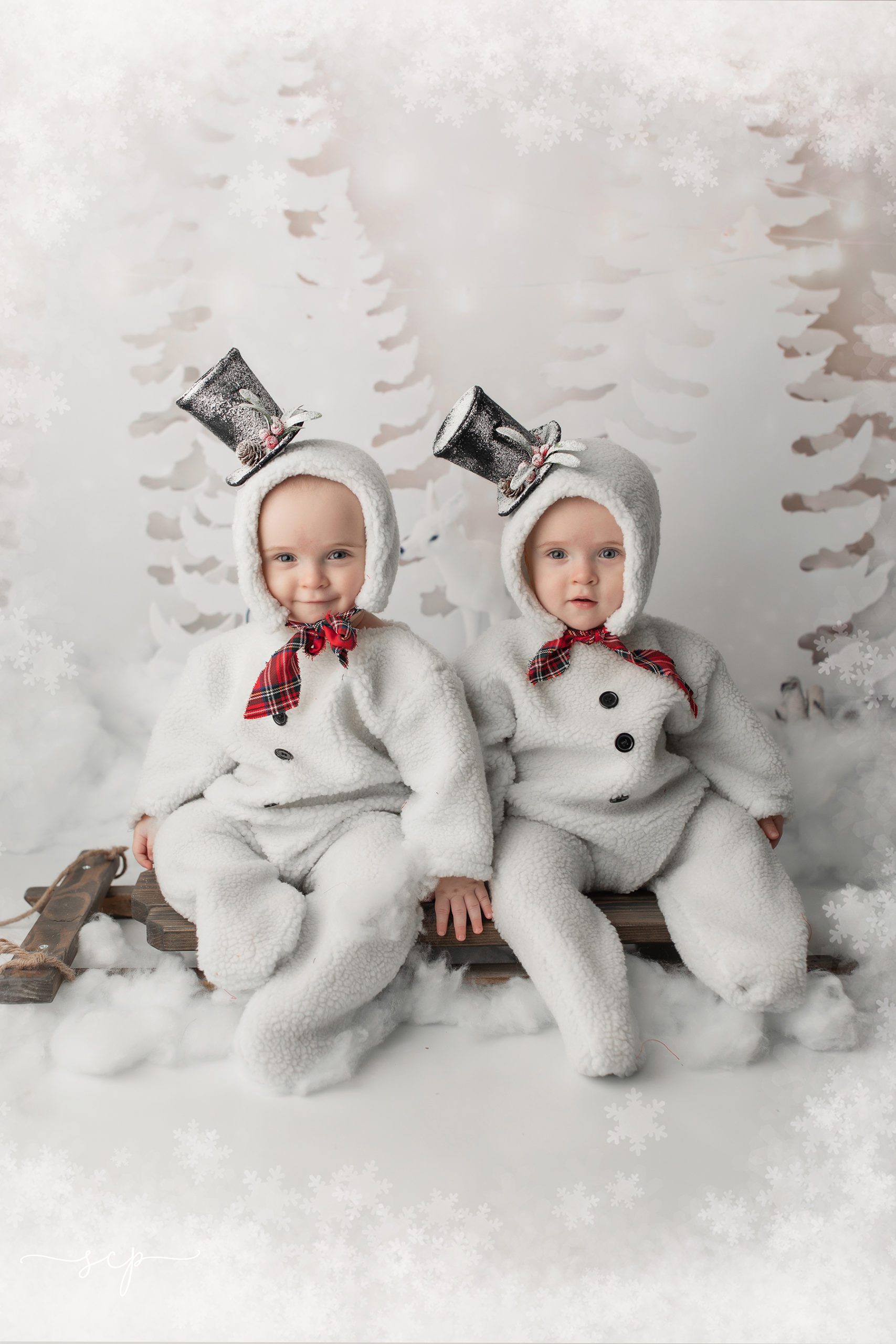 twin baby photographer in knoxville tn