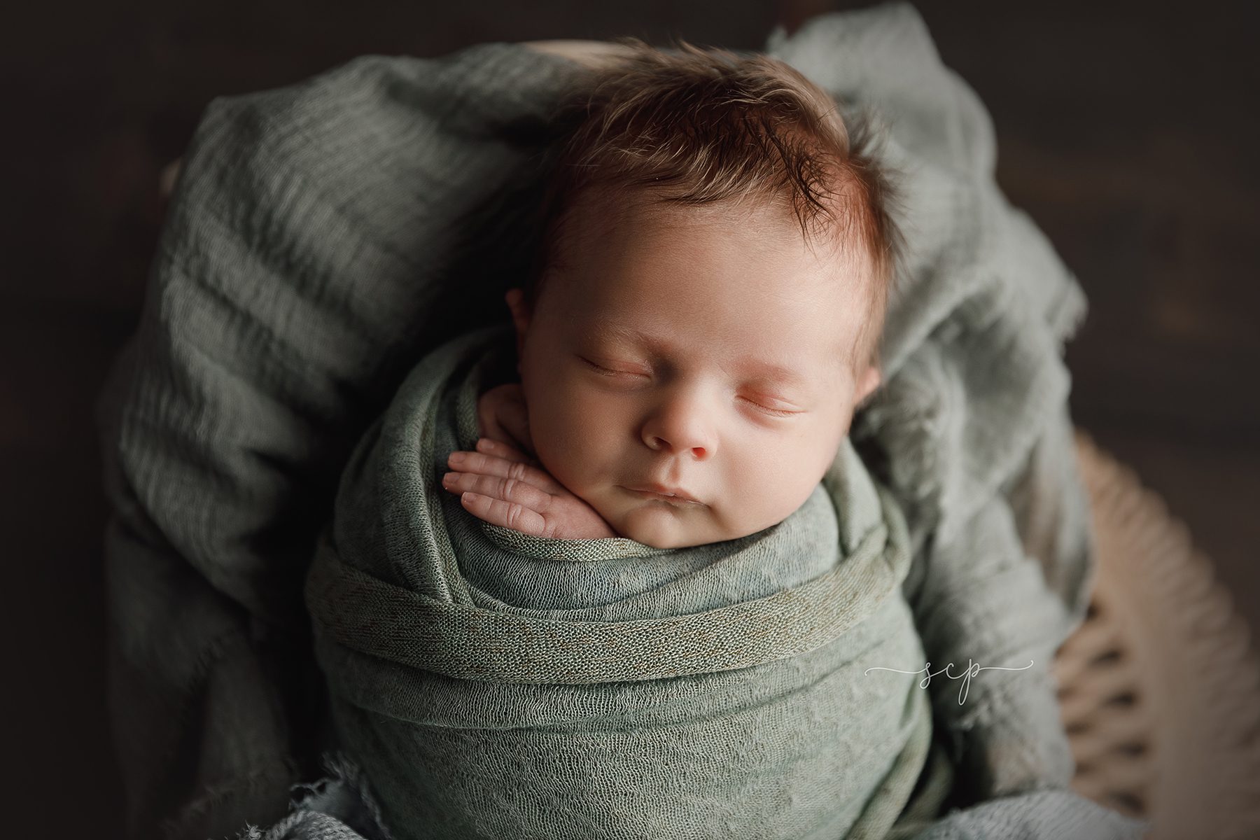 knoxville newborn photographer
