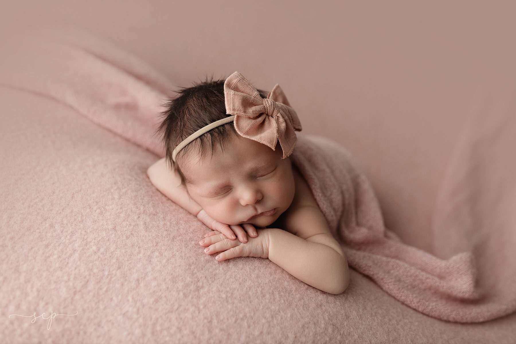 knoxville newborn photography