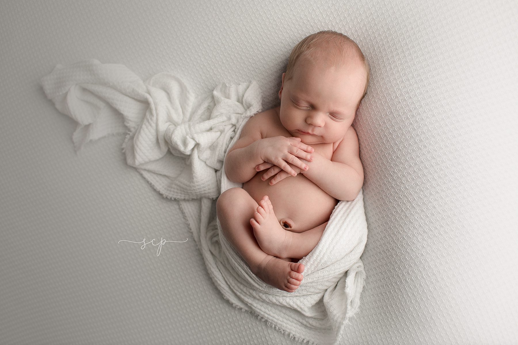 simple newborn posing knoxville