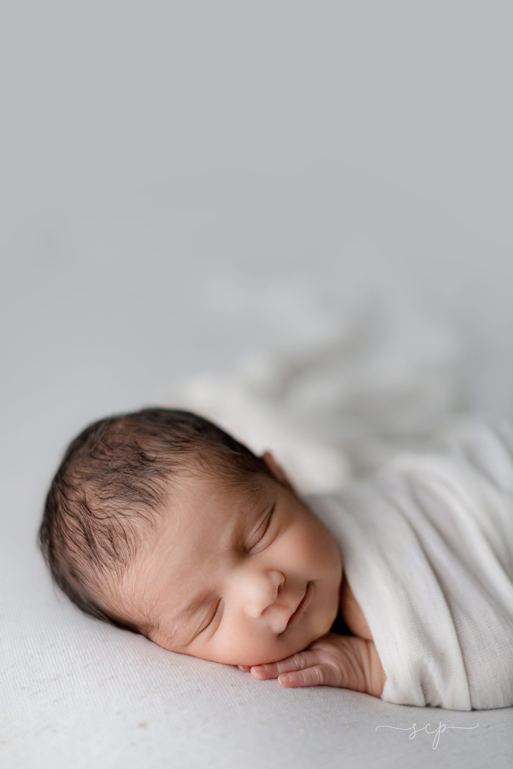 Knoxville baby portraits