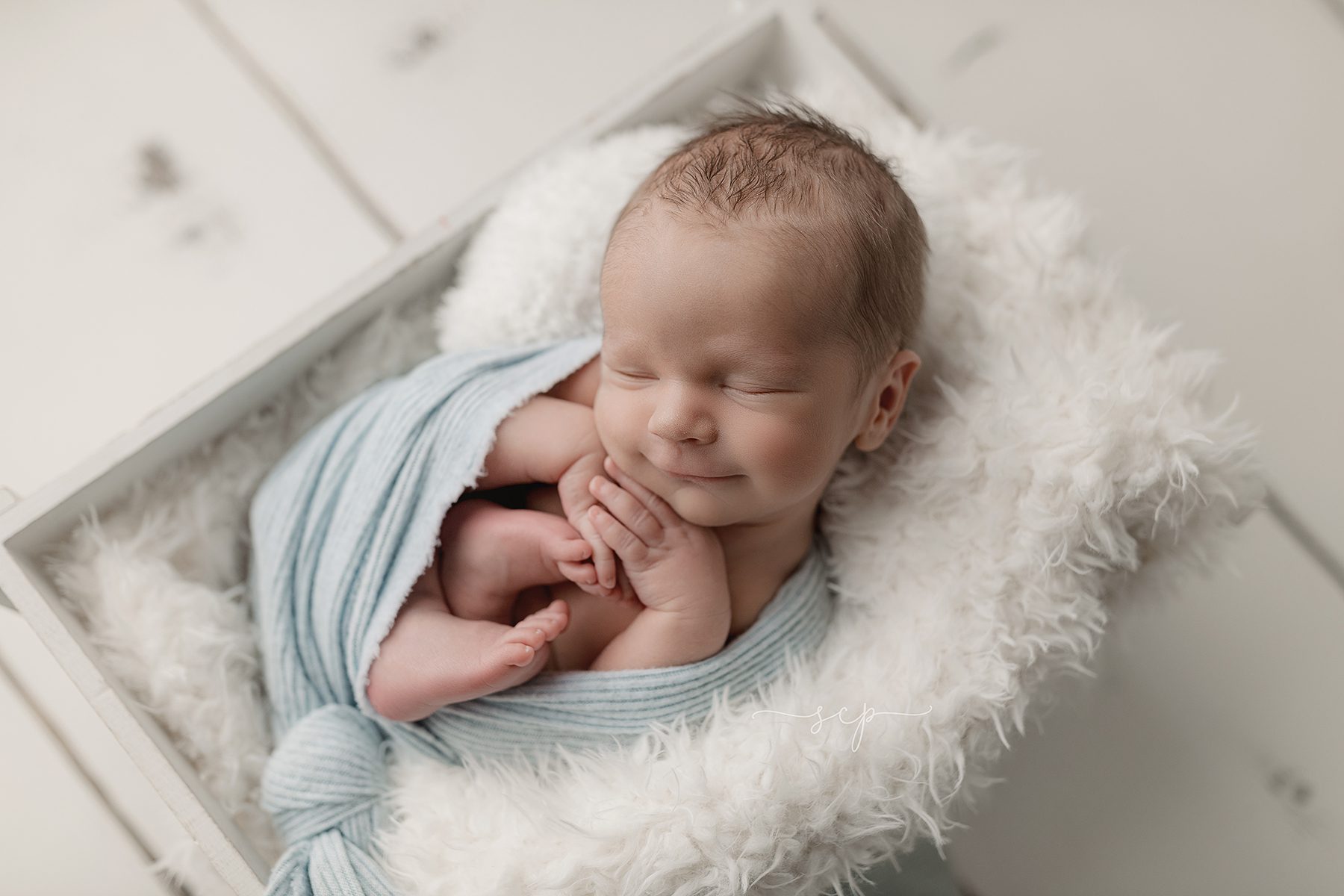 Knoxville Newborn Photography