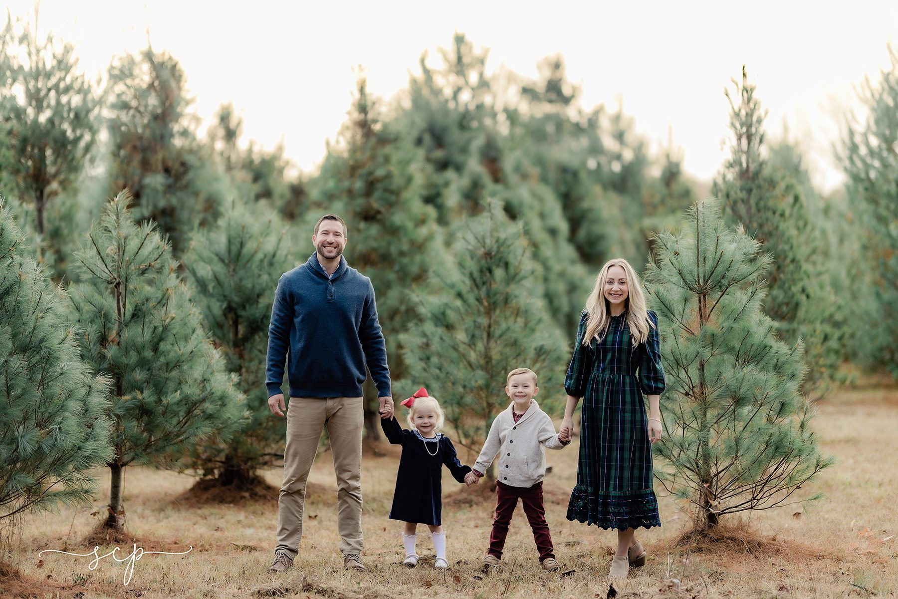 christmas tree farm family photos