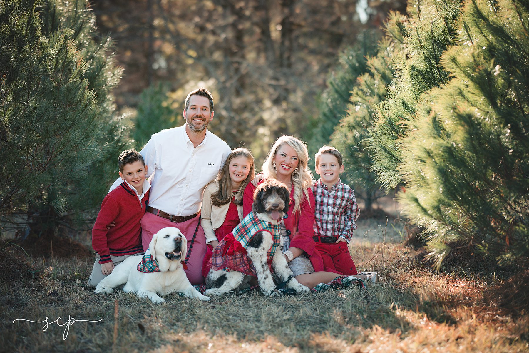 west knoxville family photographer