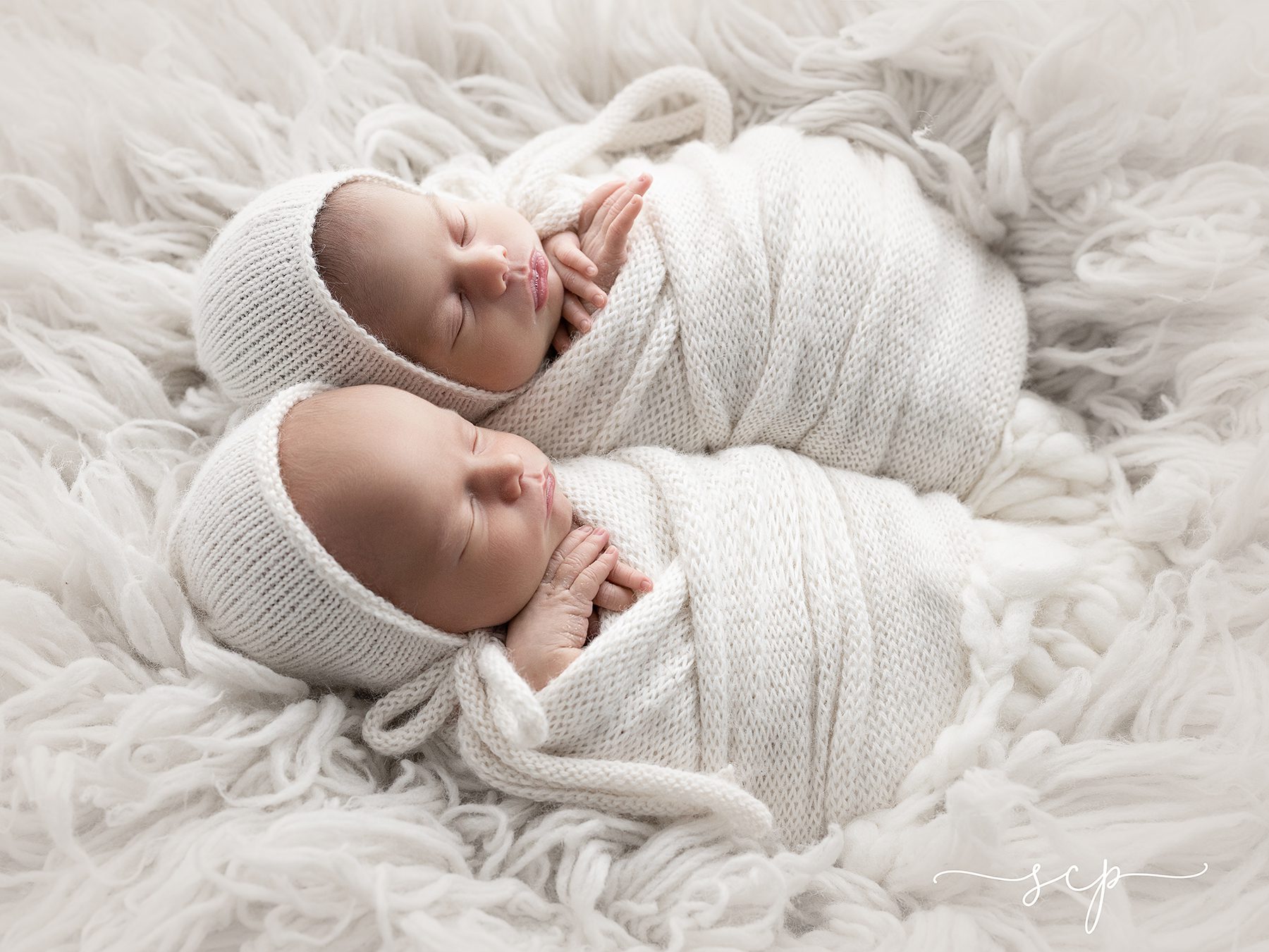 newborn twin portraits
