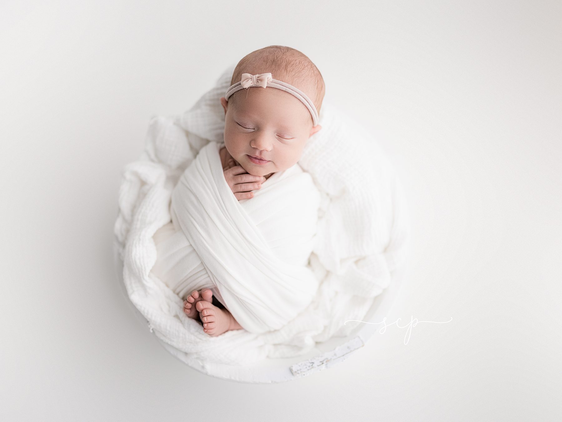 knoxville newborn portraits