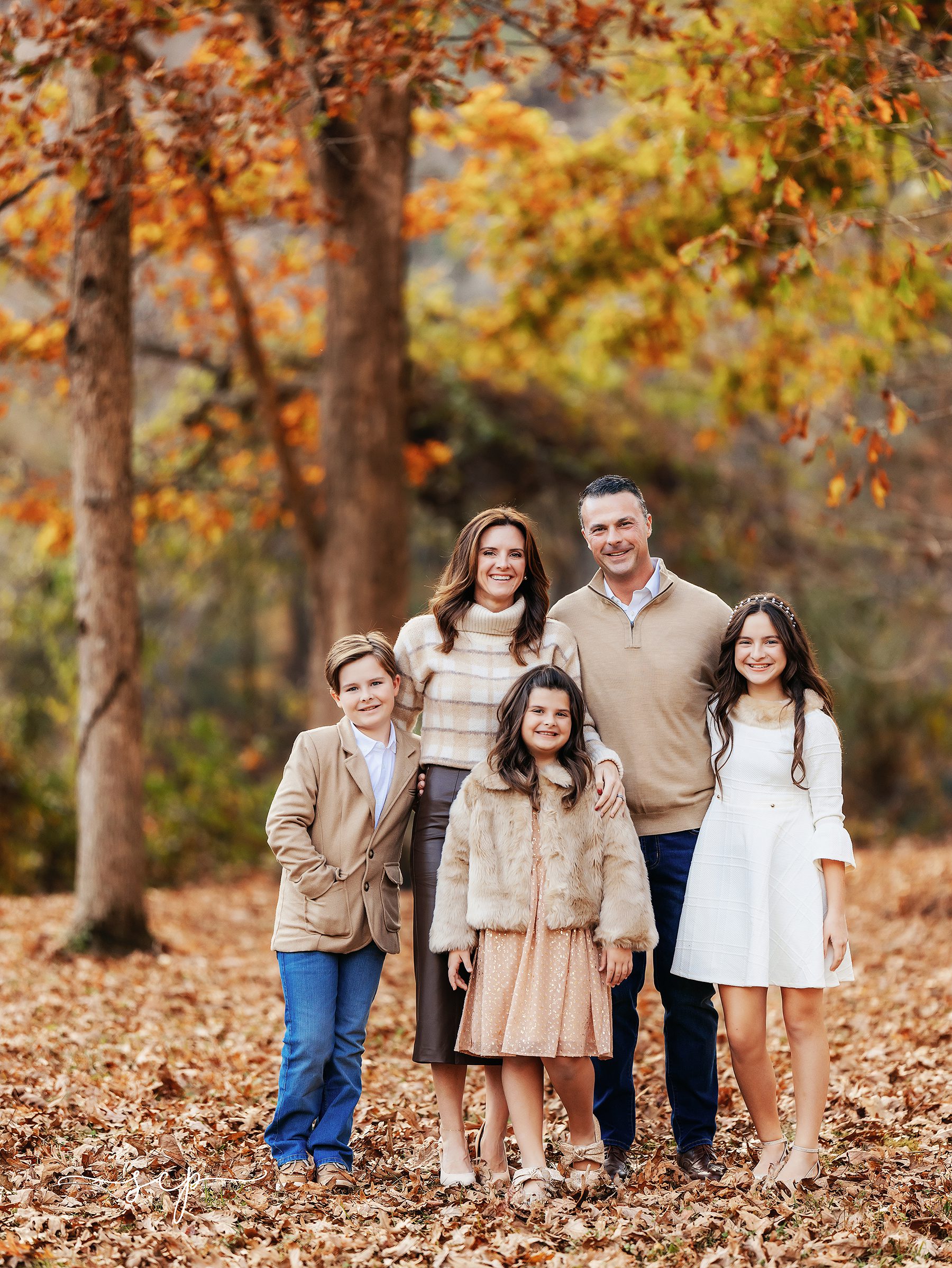 knoxville fall mini sessions