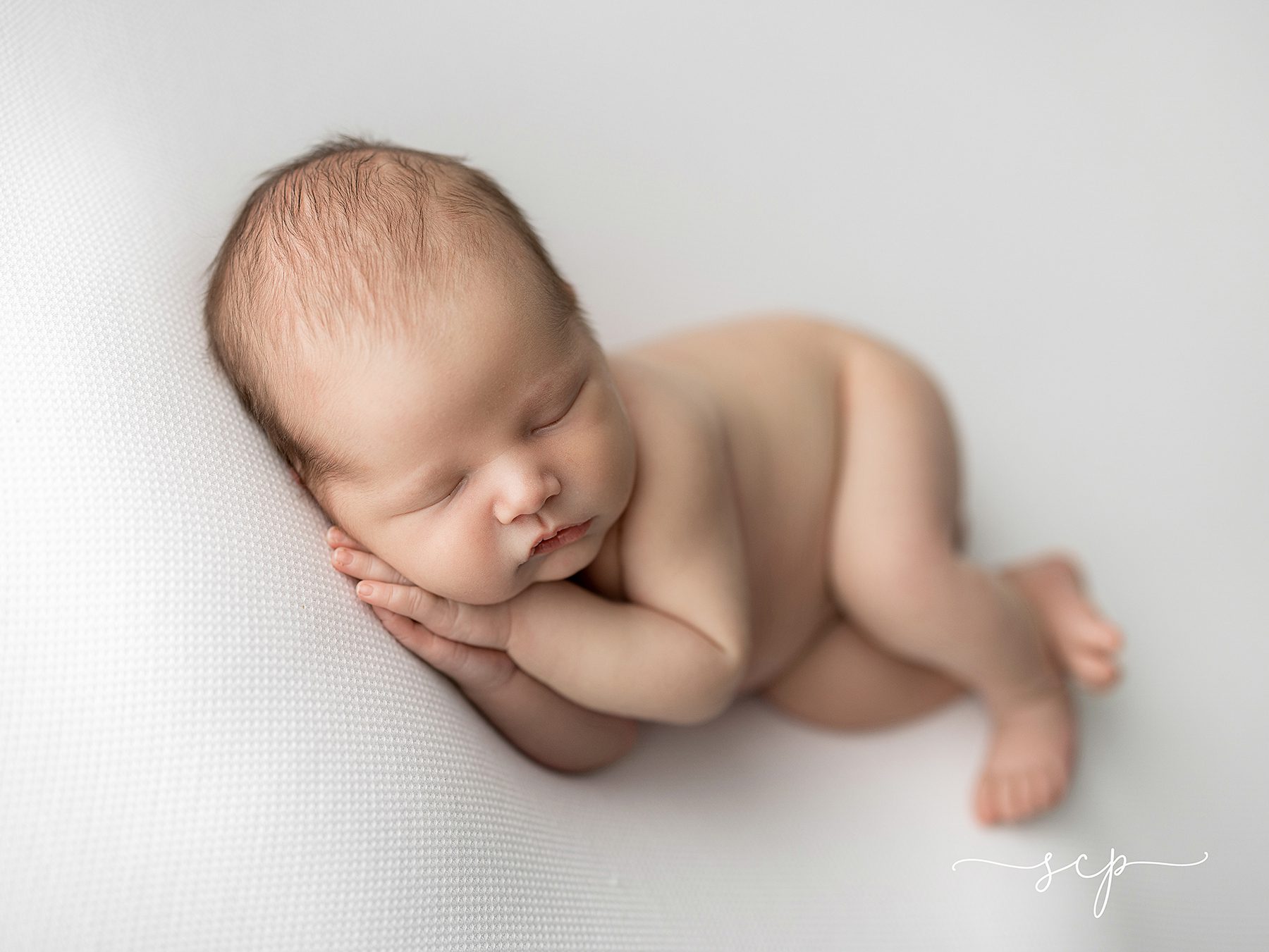 newborn baby portraits 