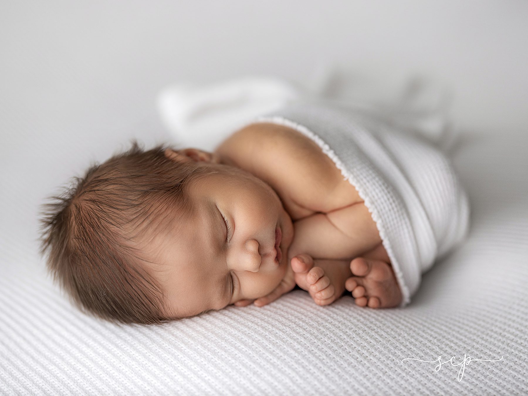 newborn photography knoxville