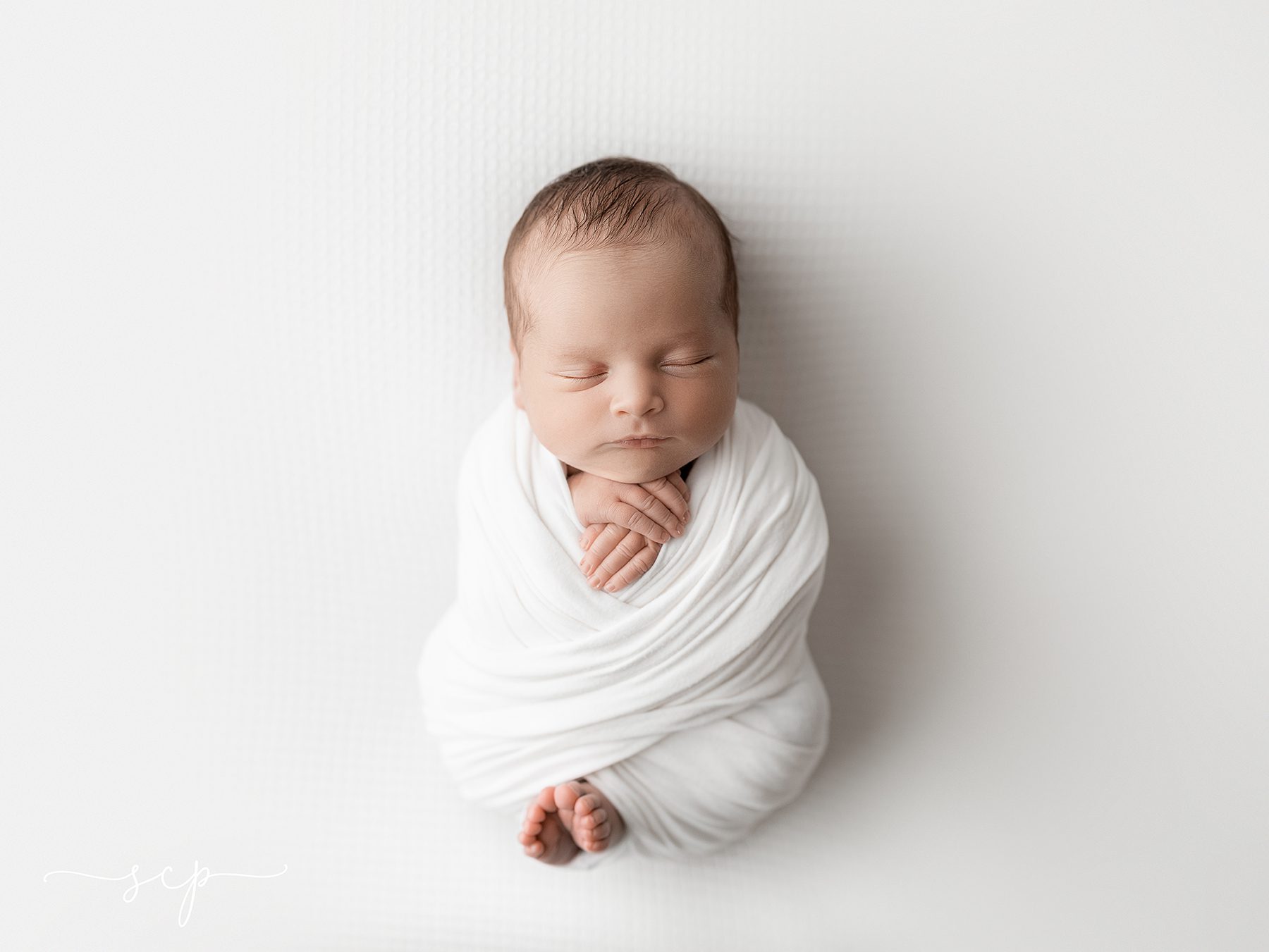 best newborn photographers 