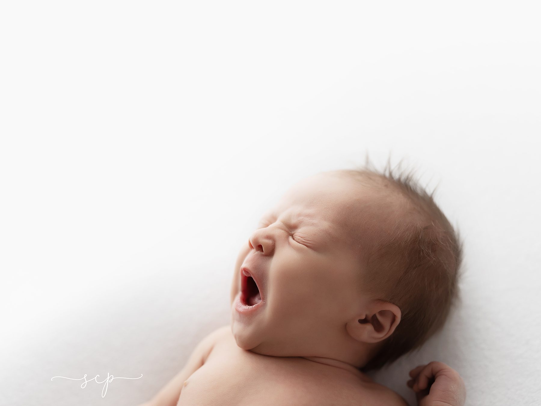 modern newborn photography