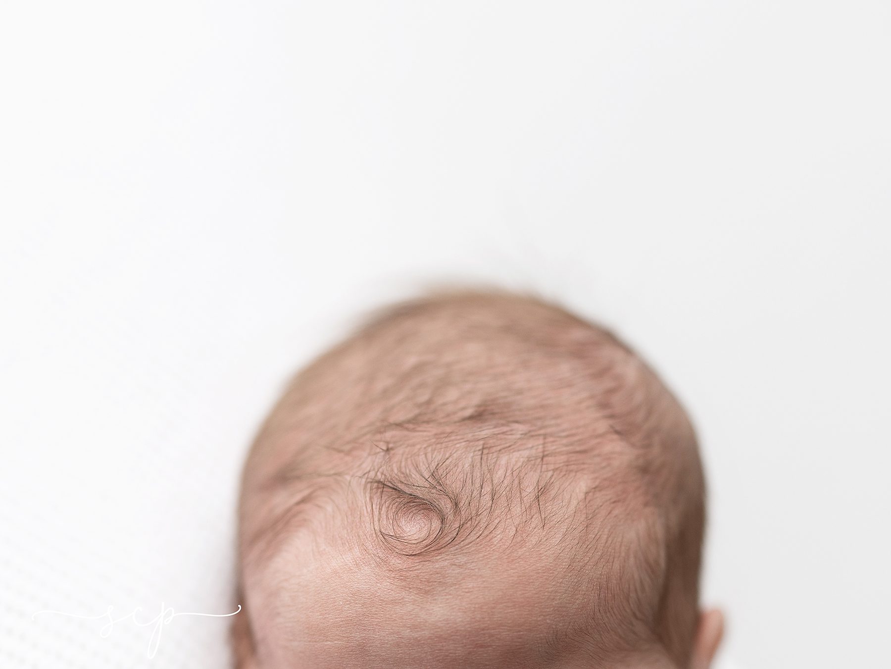 choosing a newborn photographer